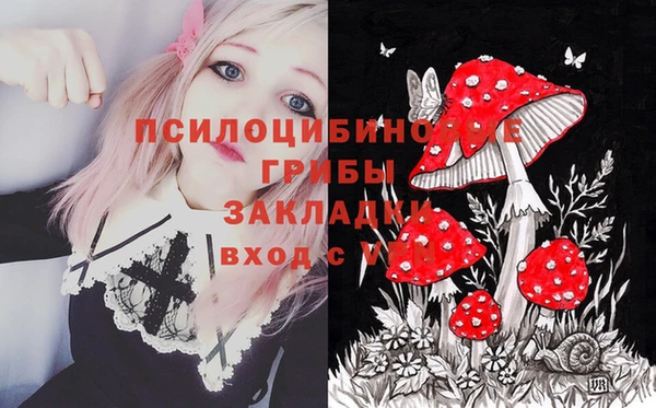 трава Абинск