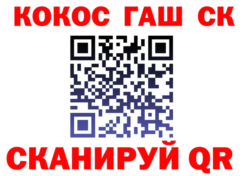APVP СК ТОР это гидра Вилючинск