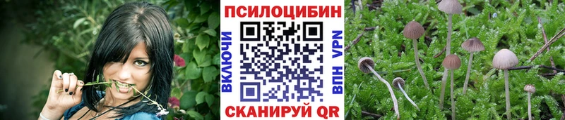 Галлюциногенные грибы GOLDEN TEACHER Вилючинск